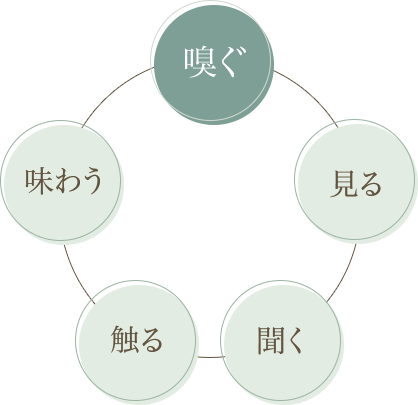 嗅ぐ・見る・聞く・触る・味わう